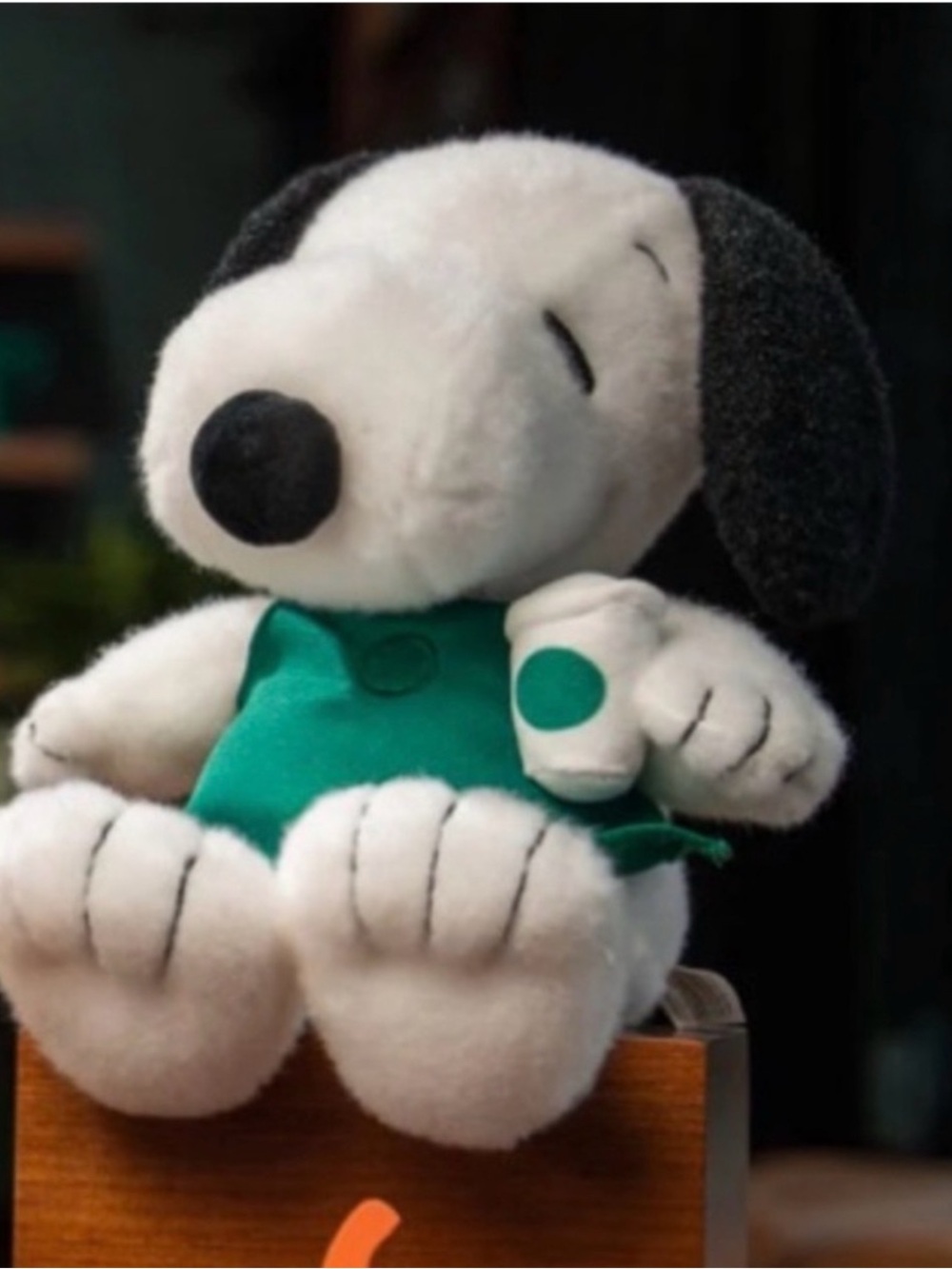 Snoopy Plush Starbucks x Peanuts 2026 NWT